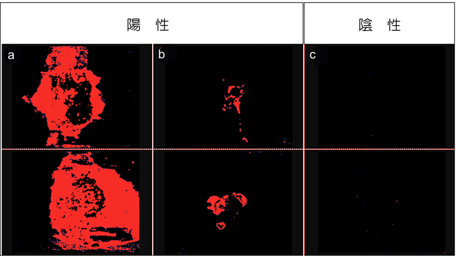 fig1