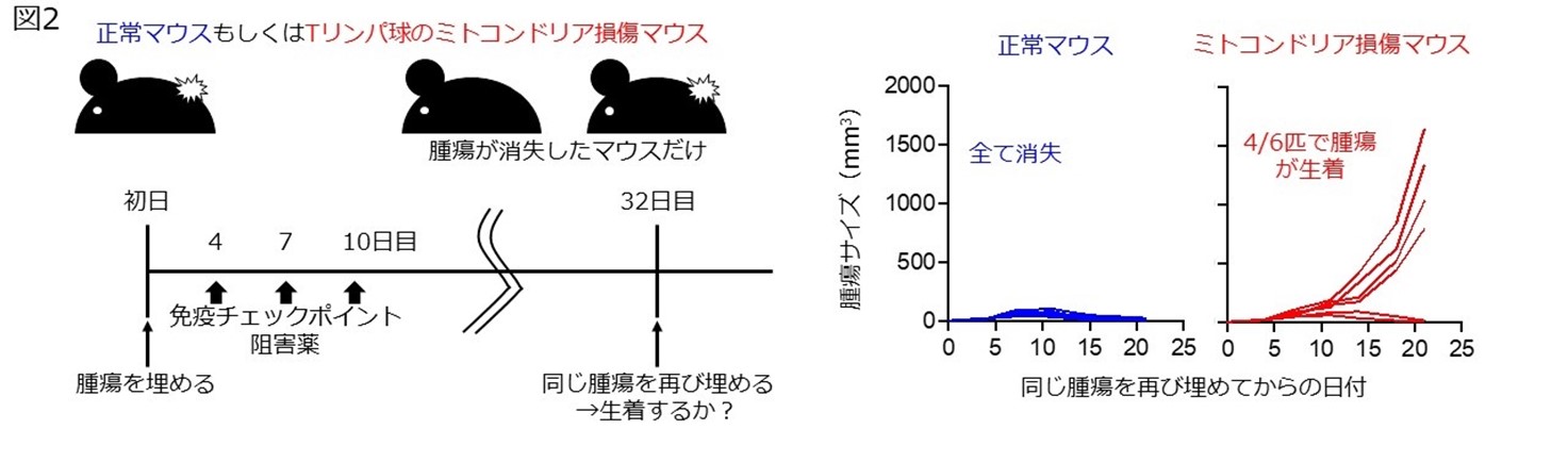 図2