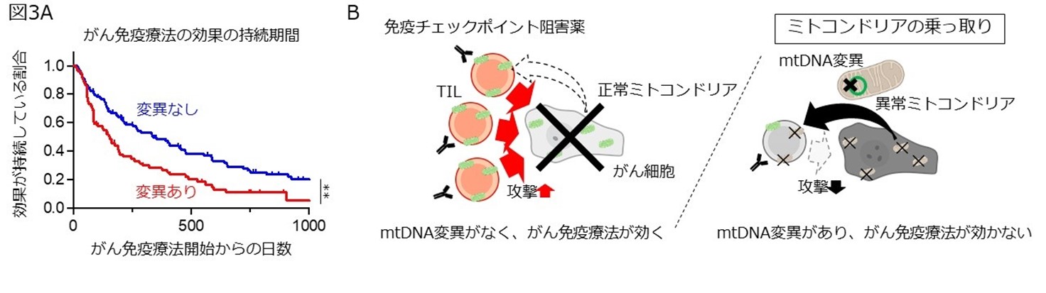 図3