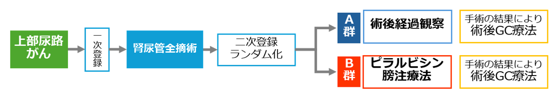 図2　研究方法　A群（標準治療群：術後経過観察）B群（試験治療群：ピラルビシン膀注療法）