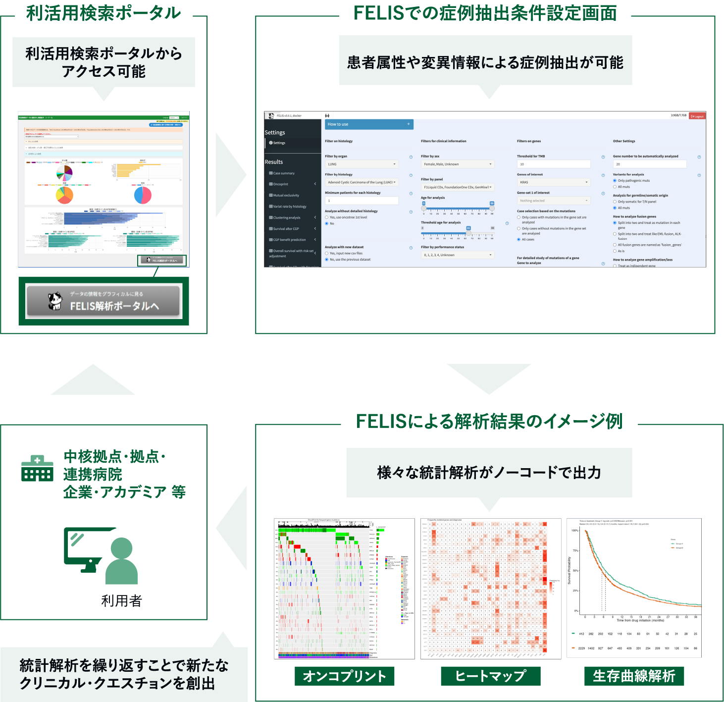 FELIS解析ポータル