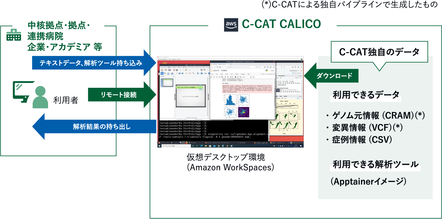 C-CAT利活用クラウド／C-CAT CALICO