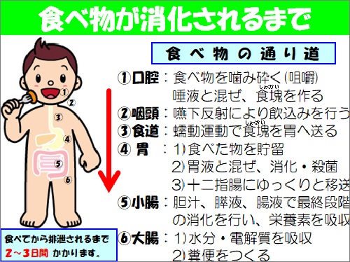 消化器術後　画像　001