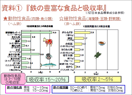 貧血　画像　002