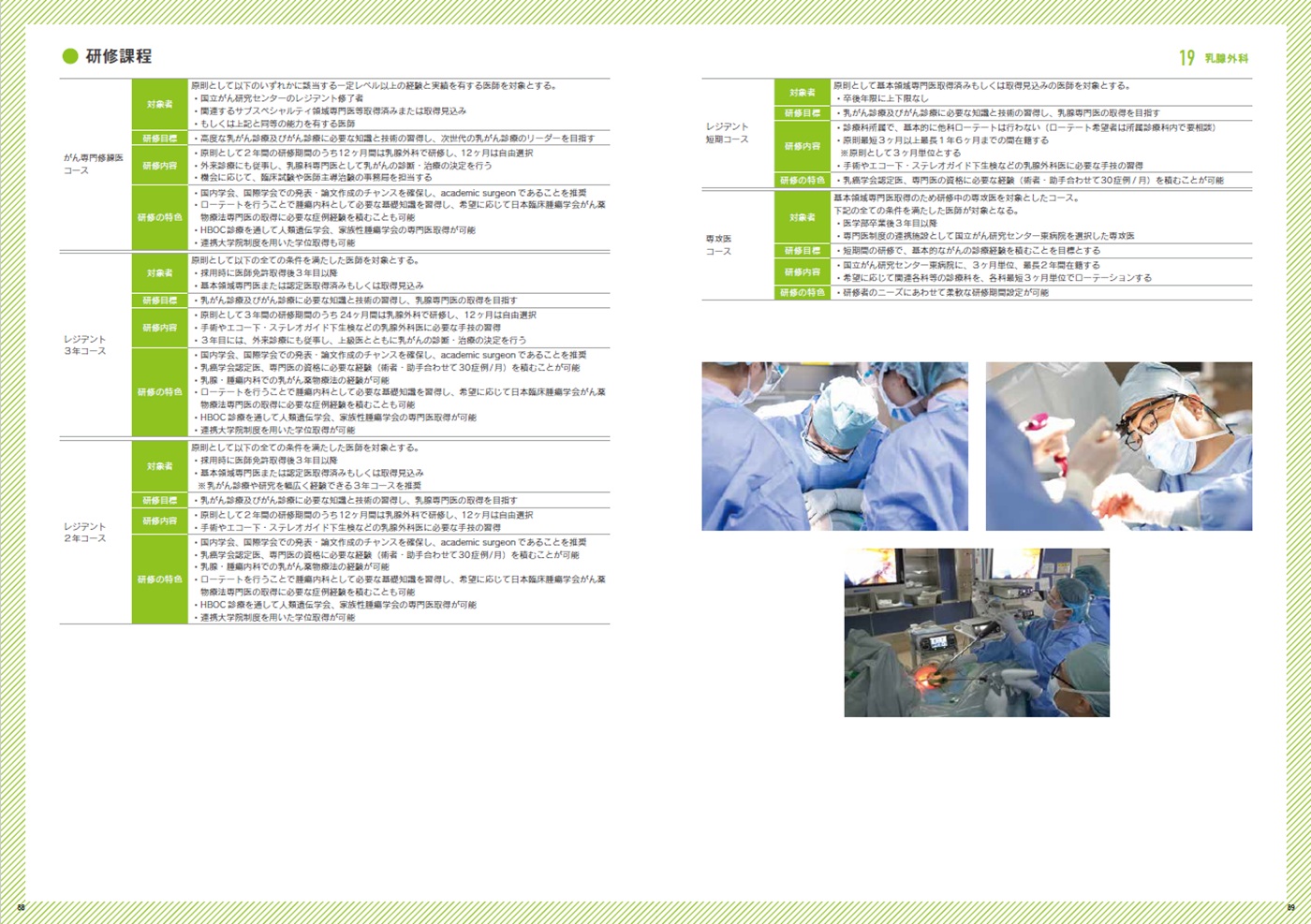 募集要項(研修内容)の画像