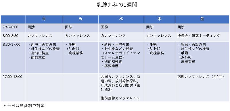 スケジュール