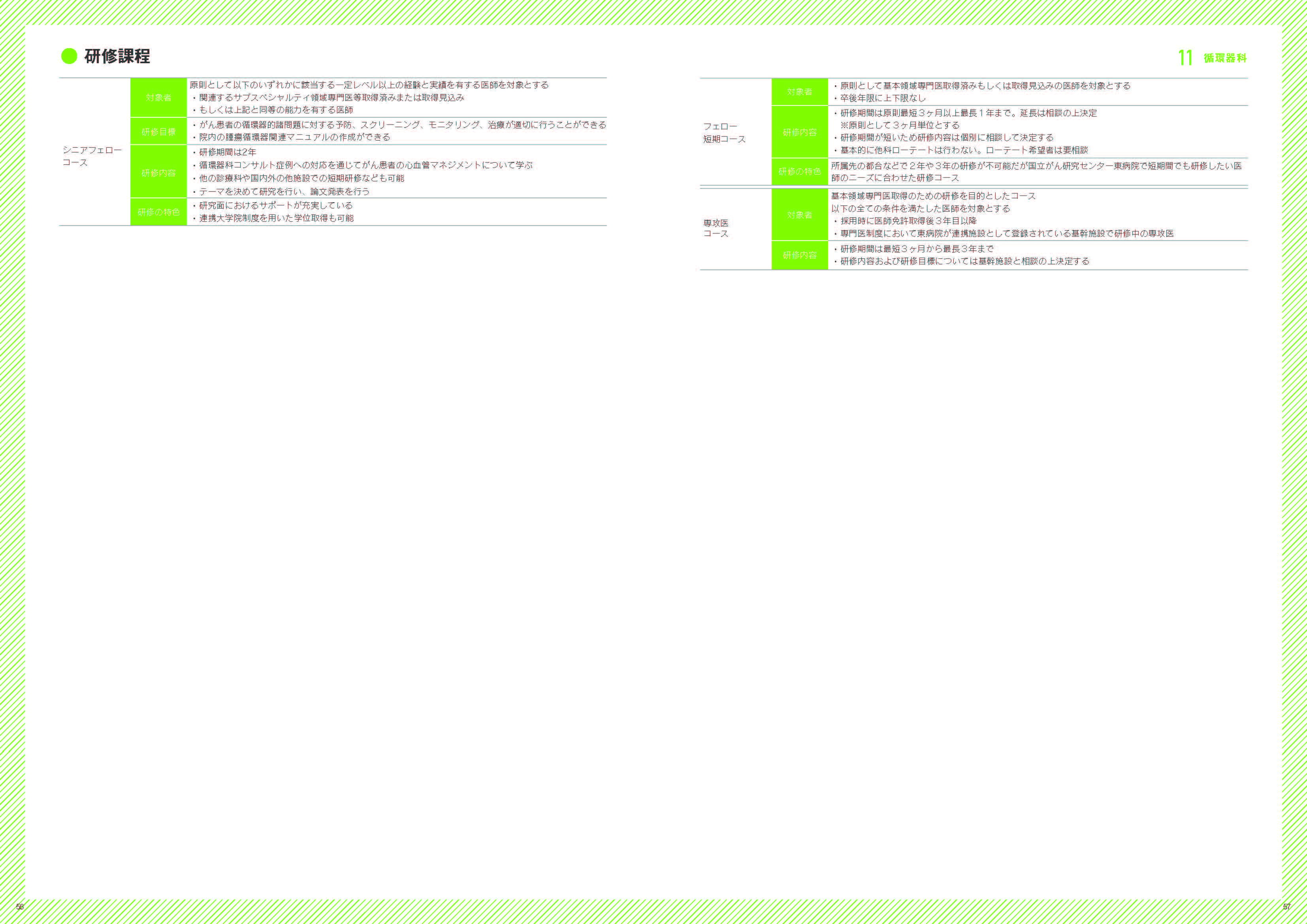 募集要項の画像2