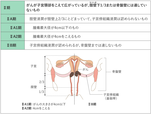 cervix_uteri_table01_02.png