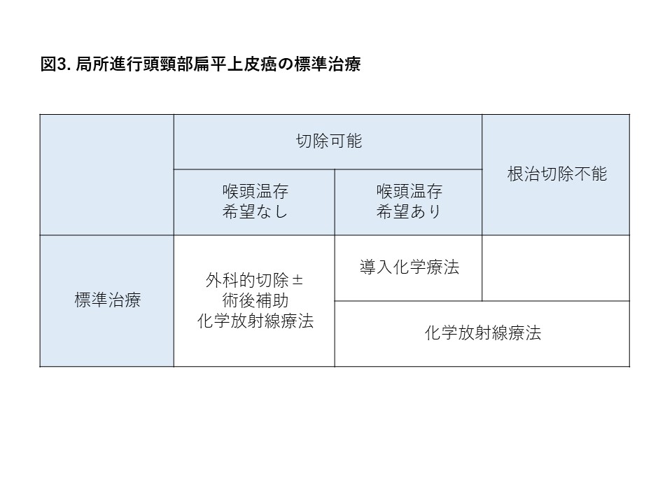 中咽頭・下咽頭・喉頭、口腔を原発とする頭頸部がん 1