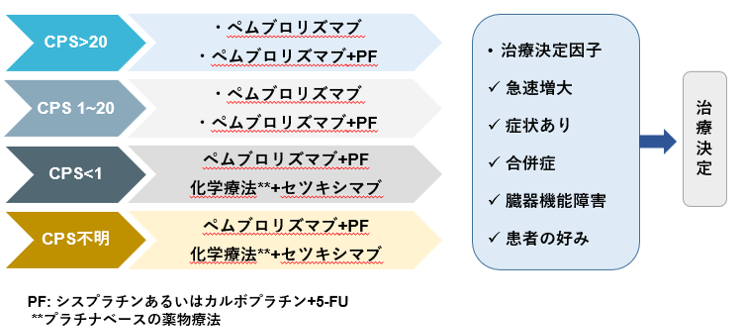 再発・転移を有する頭頸微雨扁平上皮がんの治療方針 図4