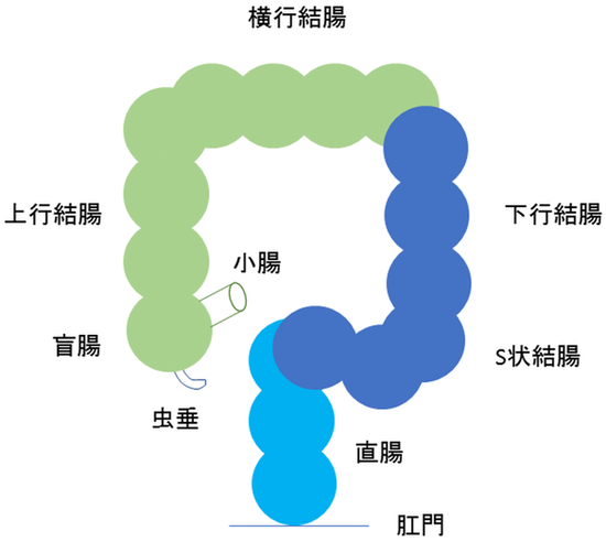 図1