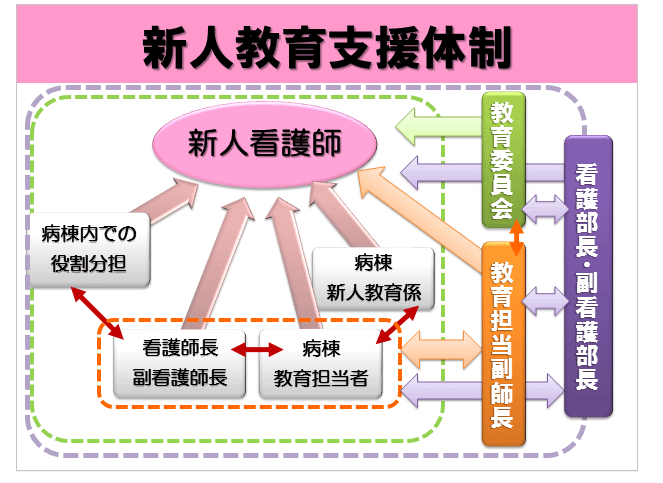 新人教育支援体制