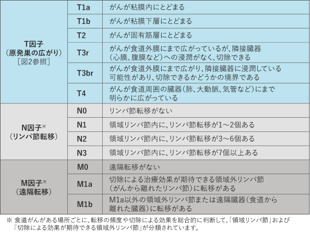 図１　食道がんのT・N・M各因子の分類