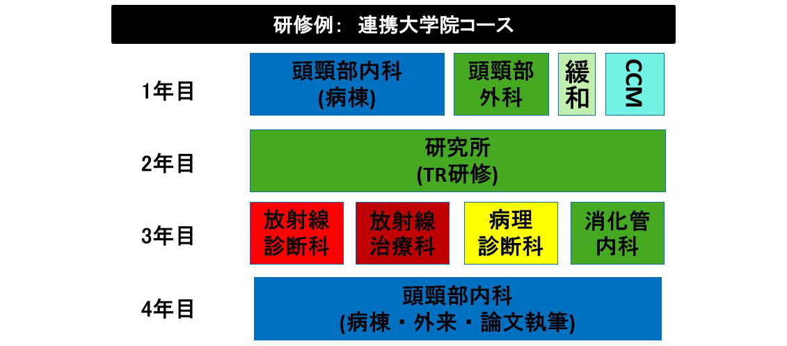 連携大学院コース：1年目年目頭頸部内科・外科病棟・緩和、2年目研究所でTR研修、3年目病理診断他、4年目頭頸部内科病棟論文執筆