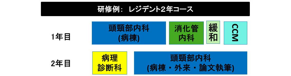 レジデント２年コース：1年目頭頸部内科・緩和他、2年目病理診断・頭頸部内科病棟外来論文執筆