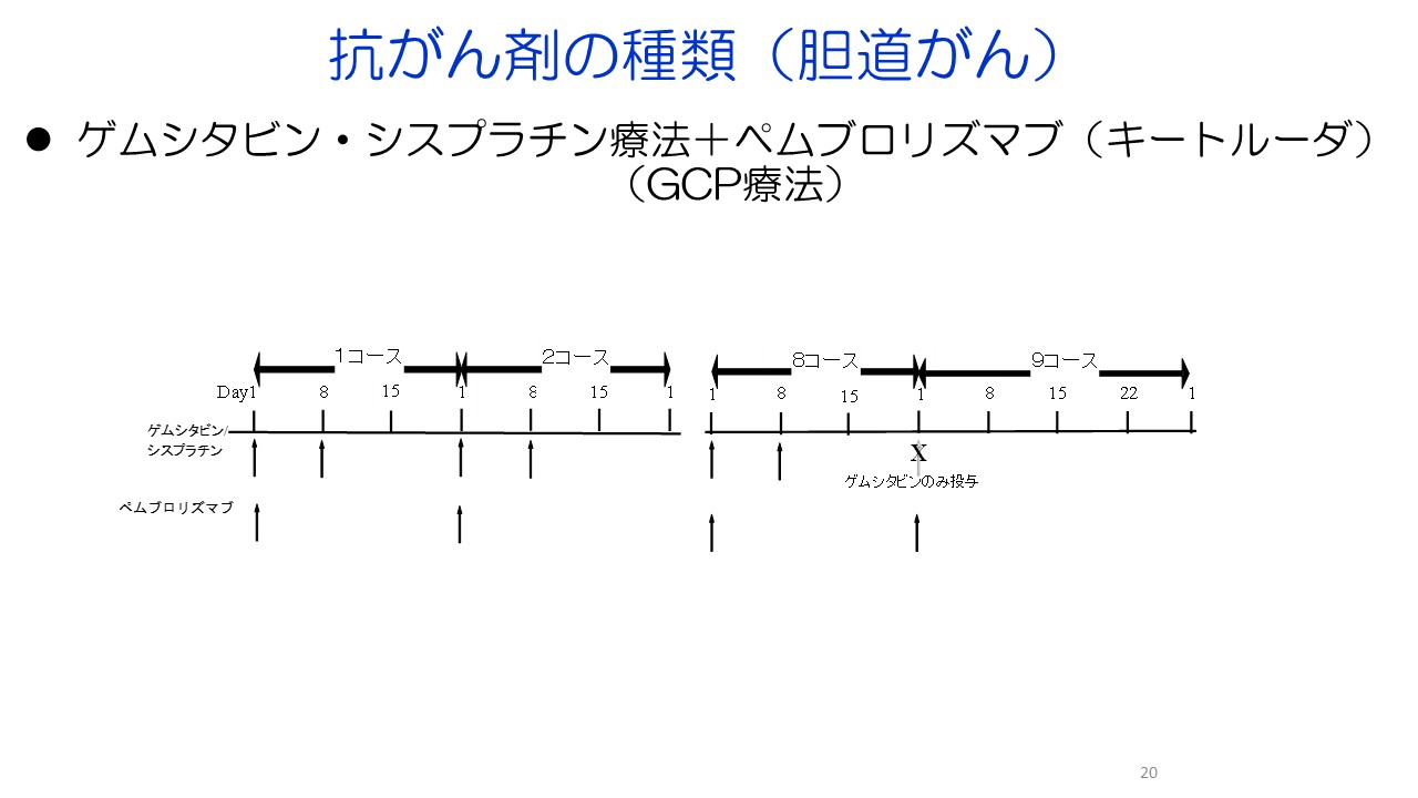 入門編１ 膵がん・胆道がんの診断と治療スライド20
