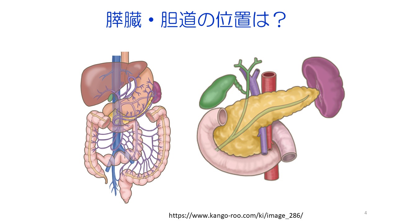 膵がん・胆道がんの診断と治療スライド4