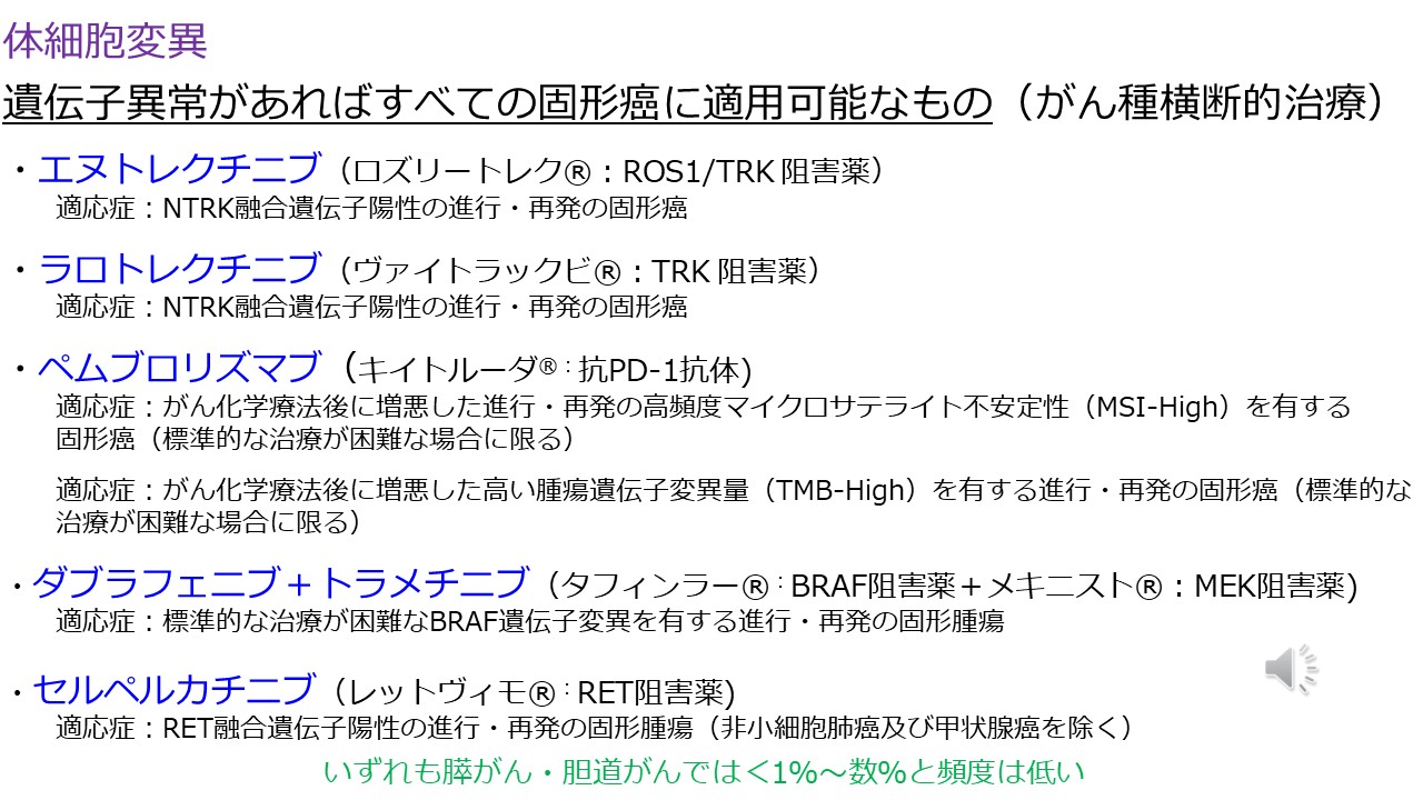 治療の選び方ゲノム医療や新規治療スライド１３