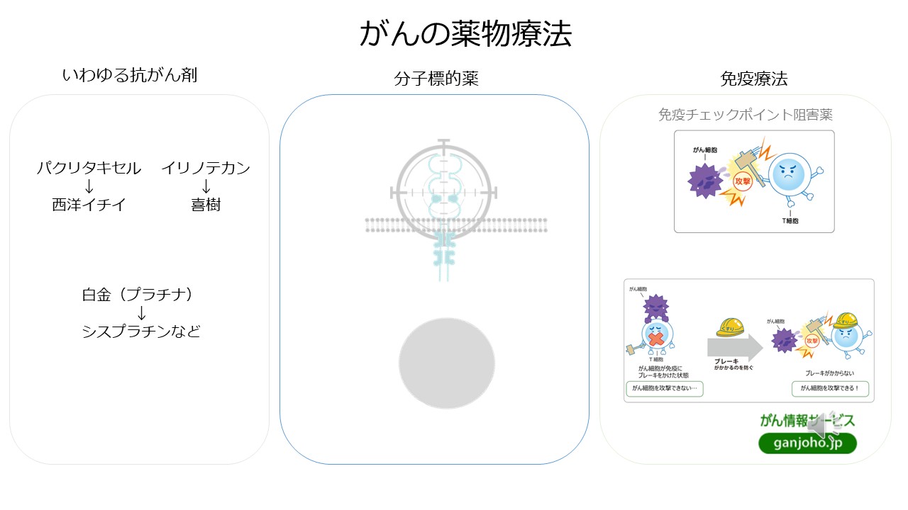 治療の選び方ゲノム医療や新規治療スライド５