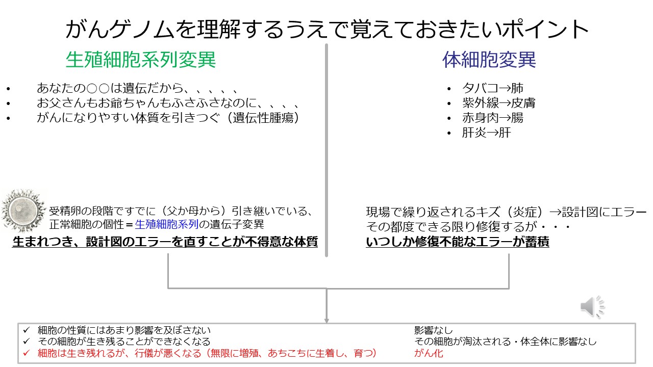 治療の選び方ゲノム医療や新規治療スライド７