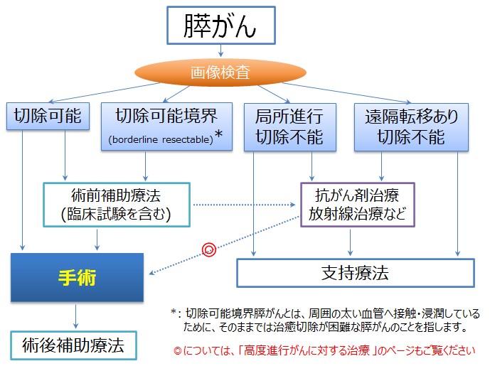 図2_膵がん治療の流れ