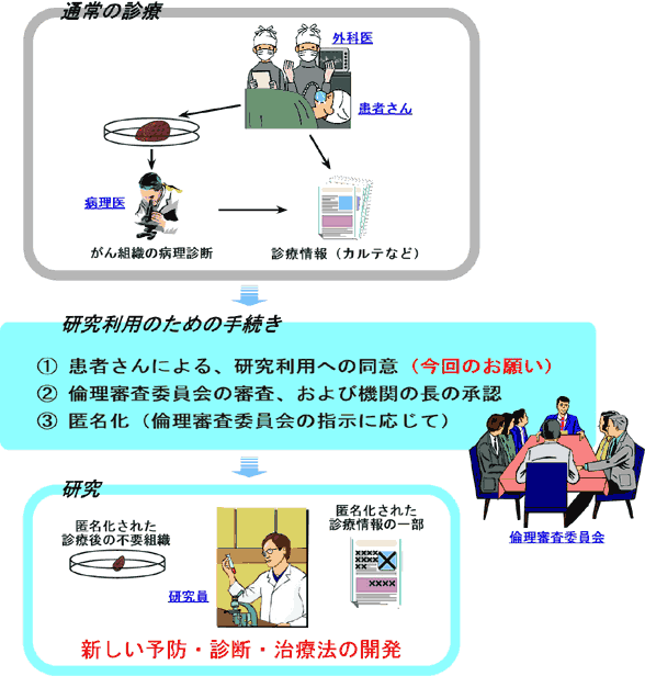 がん研究利用への流れ