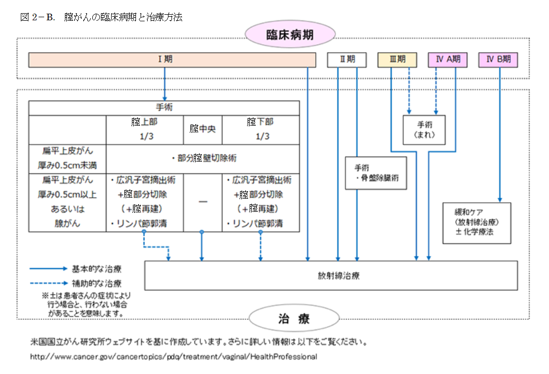Vaginal4 図2-B腟がん