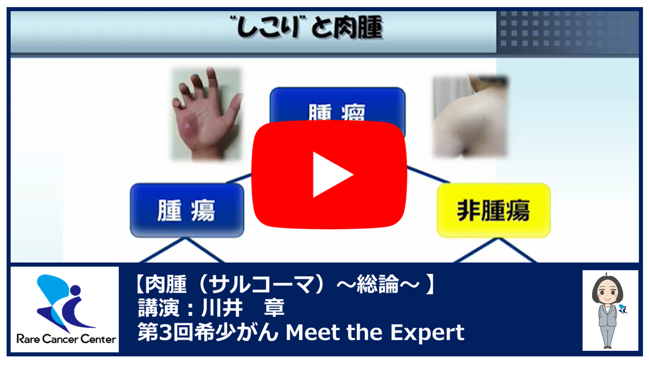 第3回肉腫(サルコーマ)~総論~講演:川井 章2