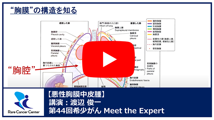 第44回悪性胸膜中皮腫講演：渡辺 俊一