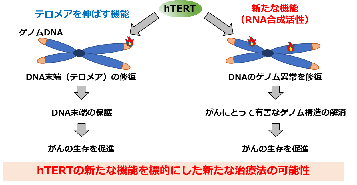図1