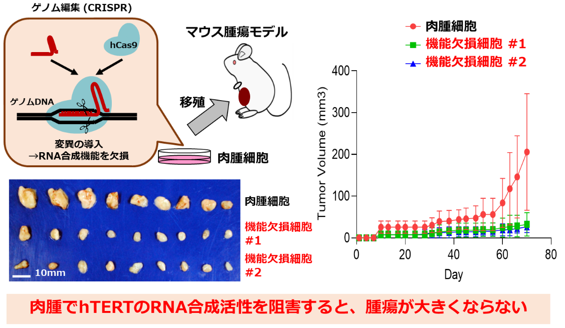 図2