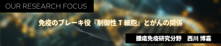 免疫のブレーキ役『制御性T細胞』とがんの関係バナー
