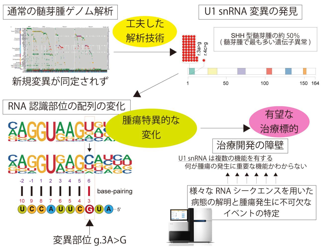 U1function_large.jpg