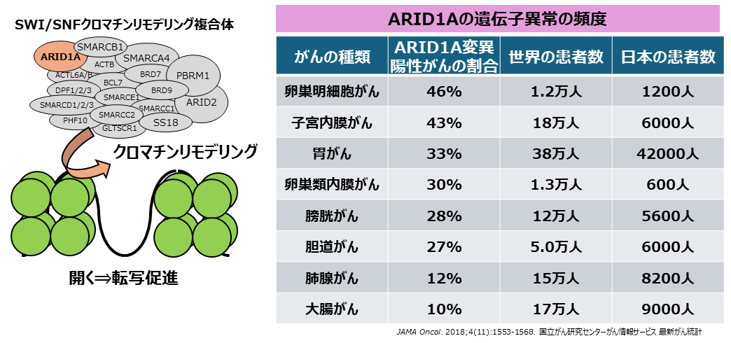 ARID1A