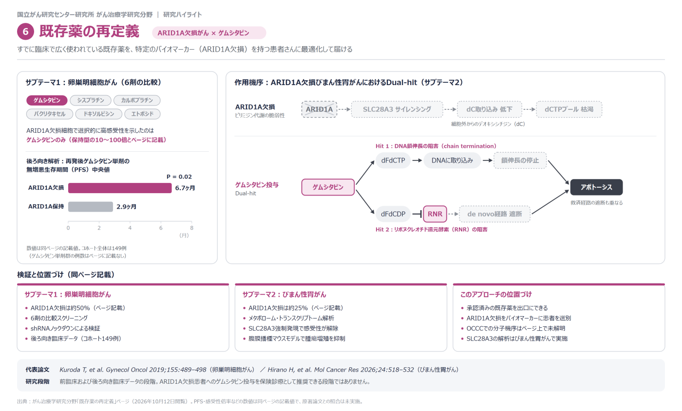 03_06_00_01_Theme6_Gemcitabine_JP_261012_261025.png