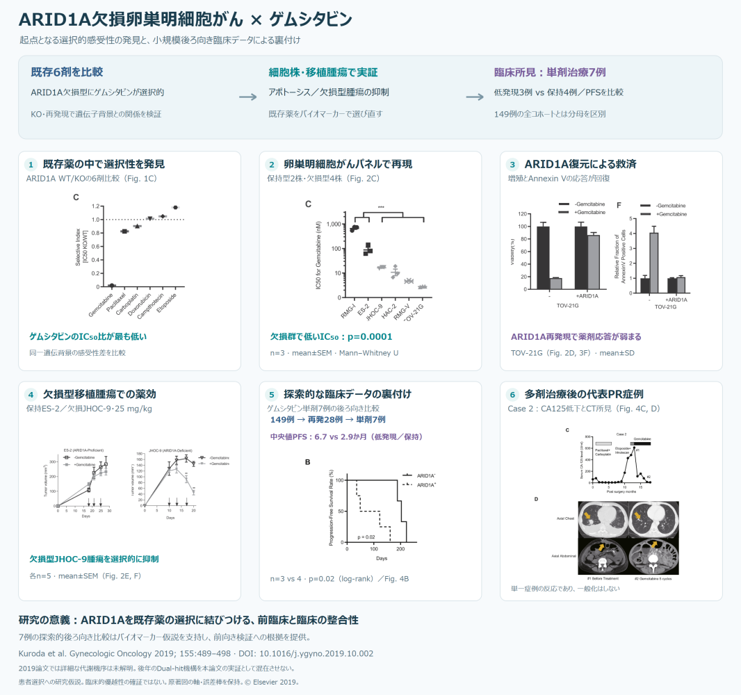 03_06_01_gemcitabine_ovarian_clear_cell_carcinoma_Kuroda2019_261025.png