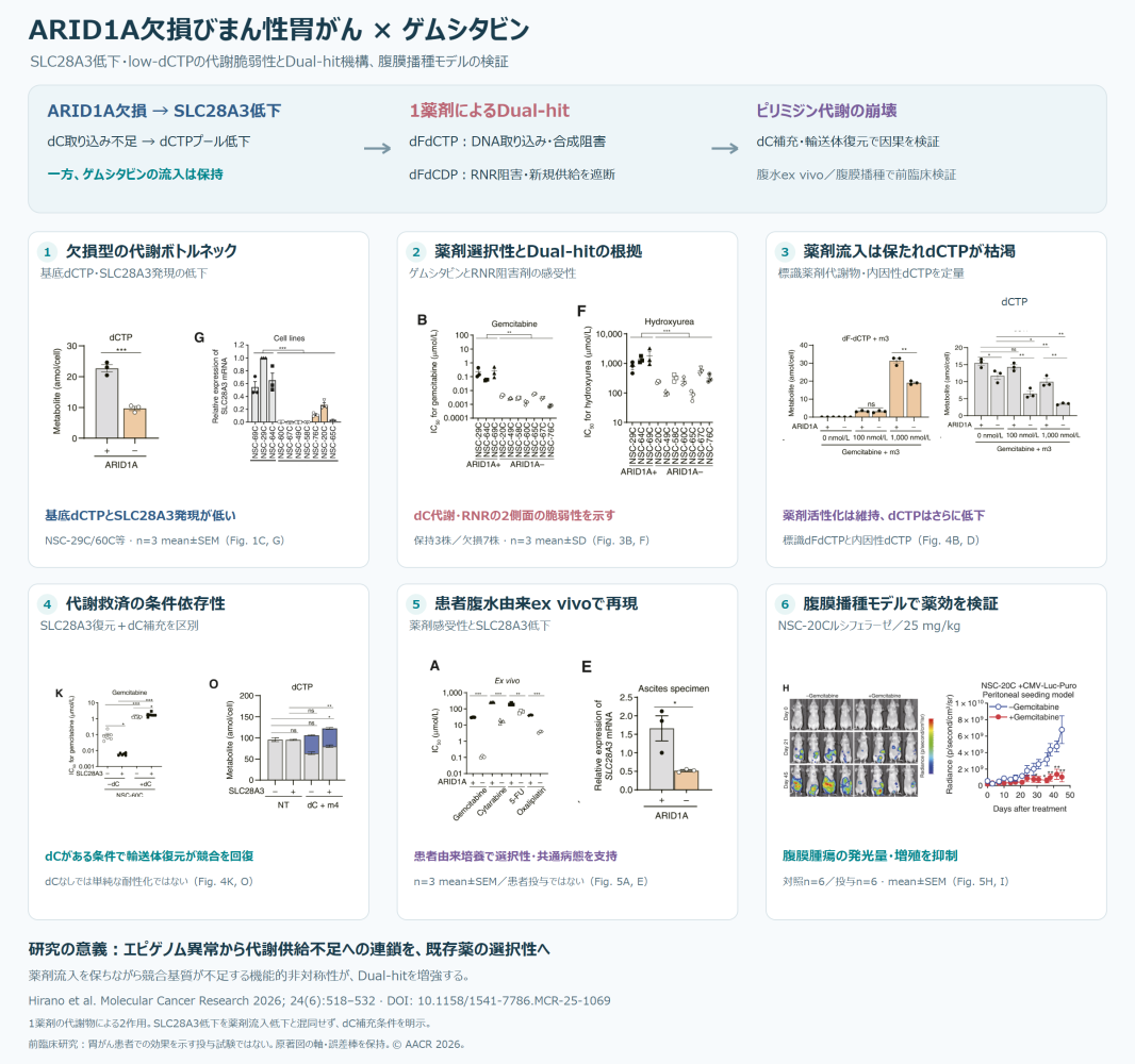 03_06_02_gemcitabine_diffuse_gastric_cancer_Hirano2026_261025.png