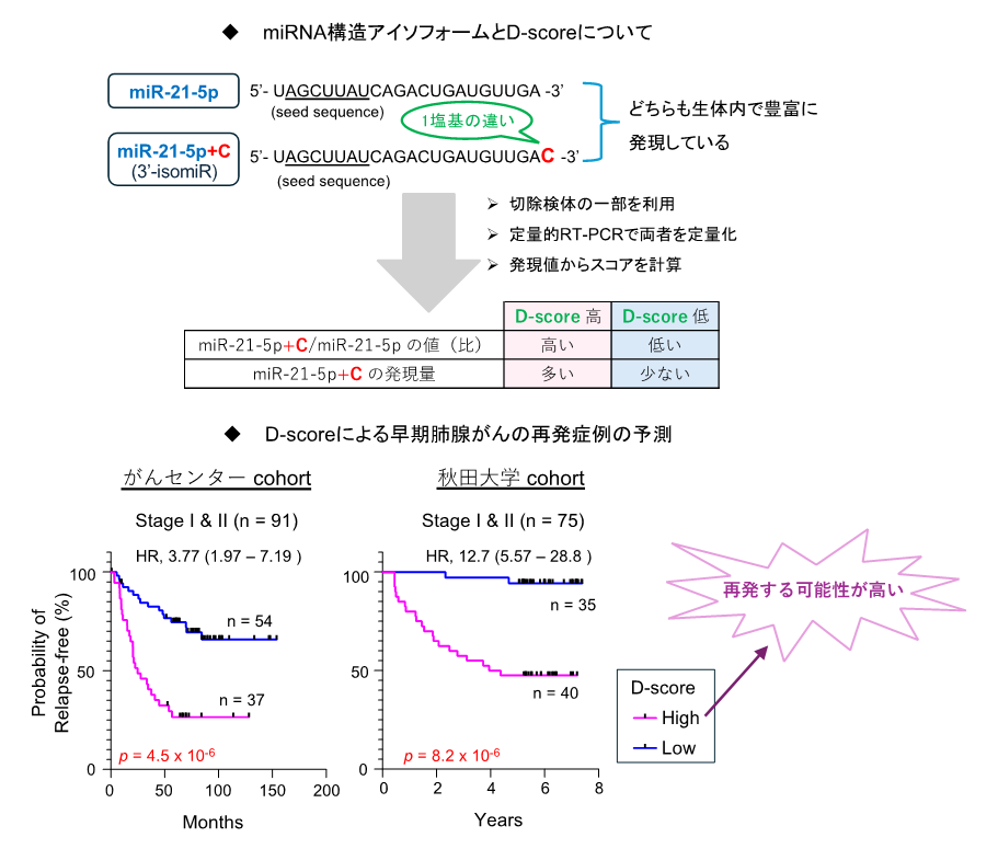 D-scoreについての説明とグラフ