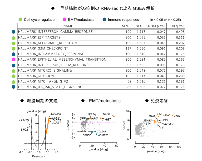 D-scoreについての表とグラフ