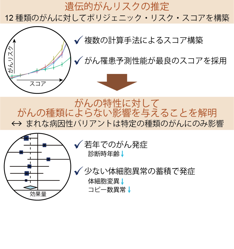 遺伝的がんリスク