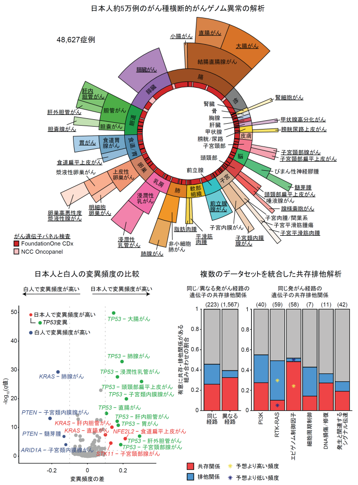 がん種横断的がんゲノム異常の解析